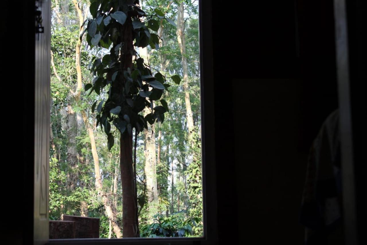 Kaikane Homestay Madikeri Exterior photo